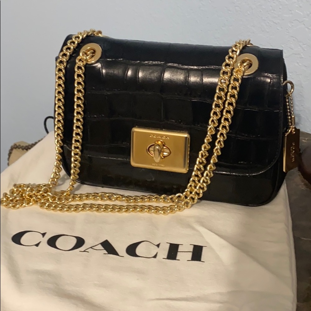 Beautiful Coach Bag